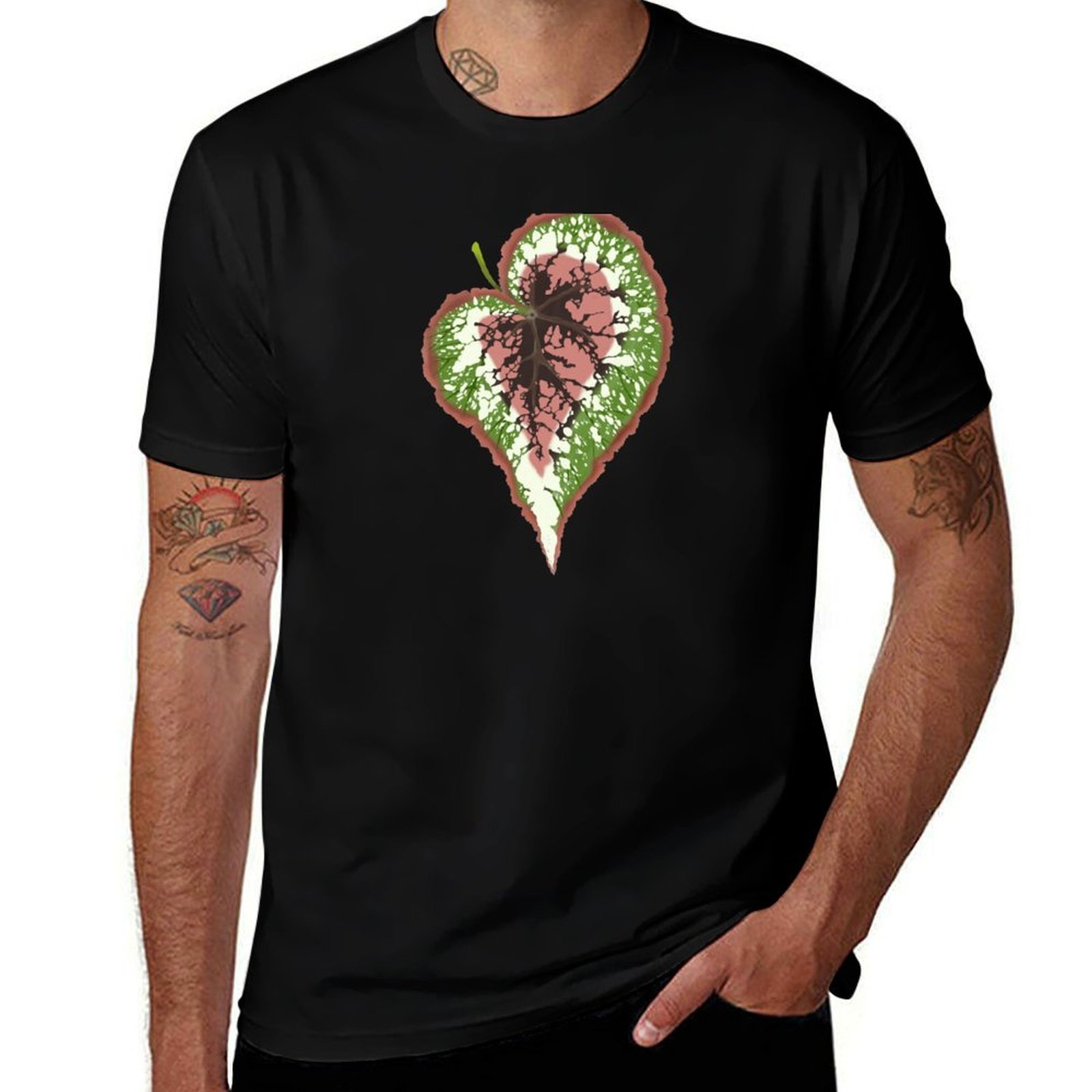 ベゴニアレックス Tシャツ ベーシック シンプルデザイン 半 - Begonia Rex のレビューと価格