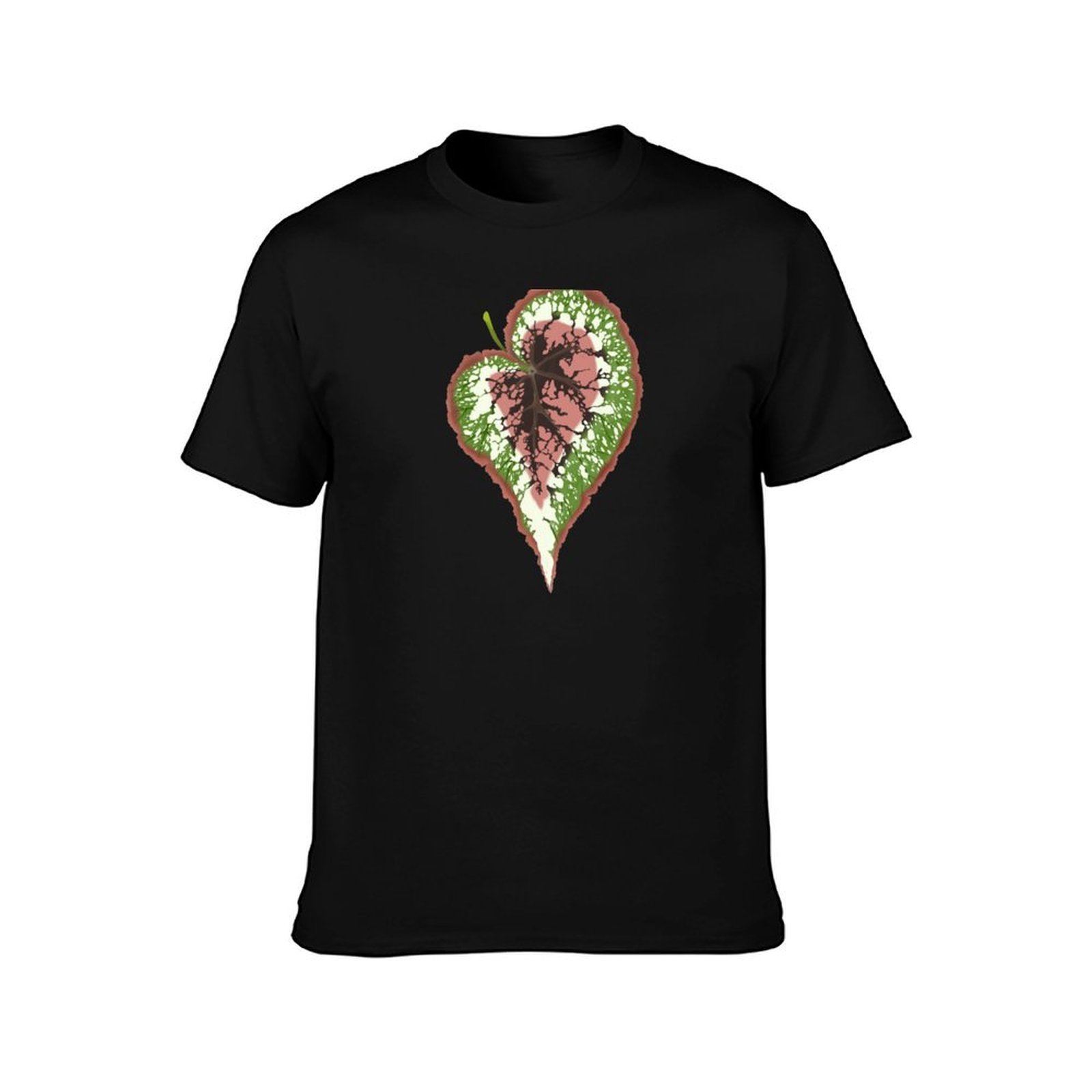ベゴニアレックス Tシャツ ベーシック シンプルデザイン 半 - Begonia Rex のレビューと価格