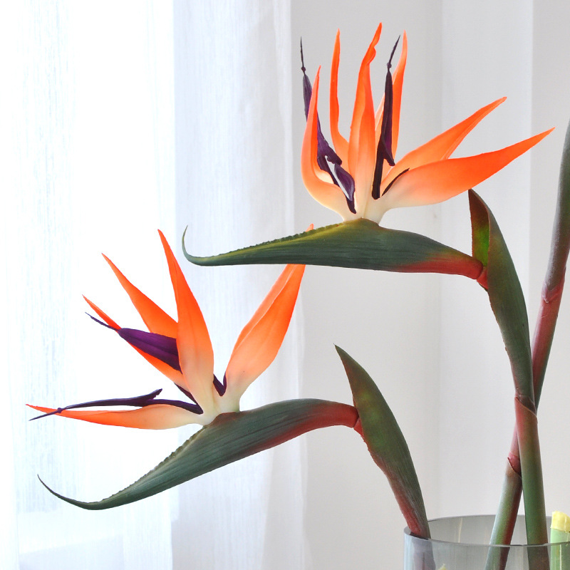 3個入り人工極楽鳥花ラバーストレリチア24.5インチロングス - Bird Paradise Strelitzia のレビューと価格